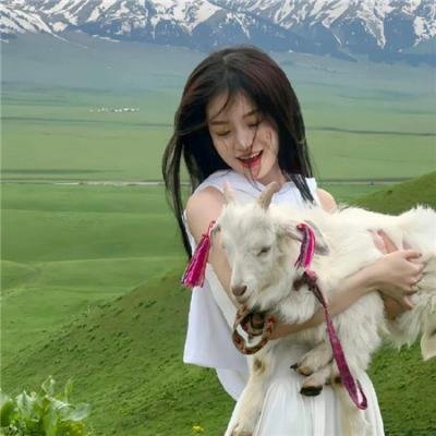 家有囍事2009